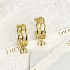 Christian Dior Earrings